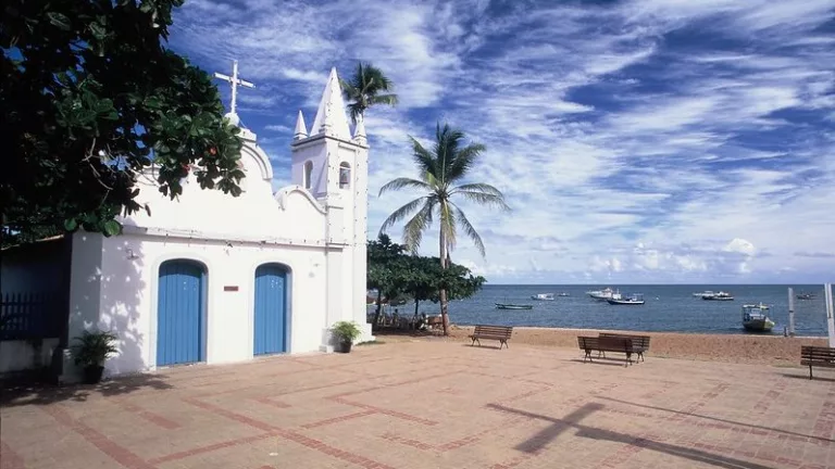 Melhores passeios da Praia do Forte