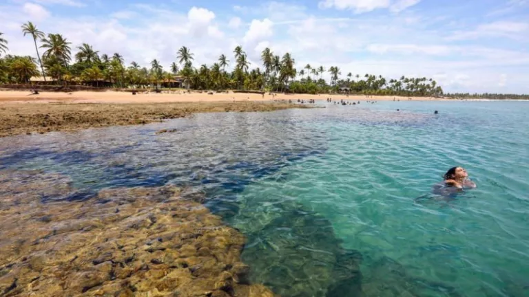 Como ir de Salvador até Barra Grande