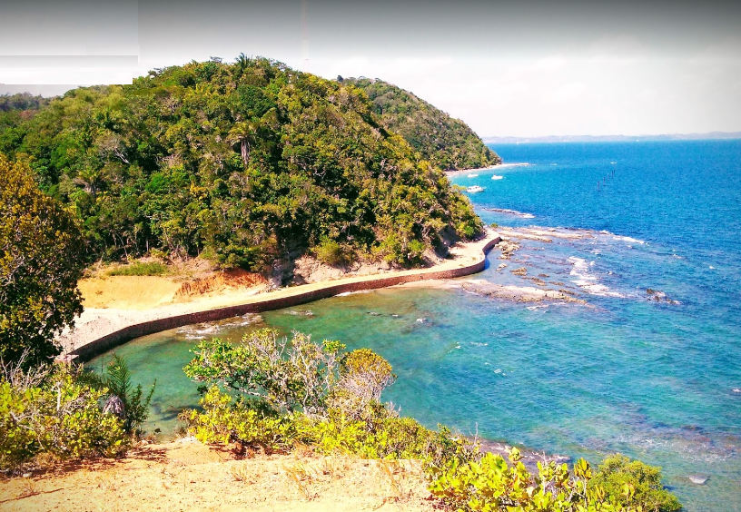 Mata na Ilha dos Frades